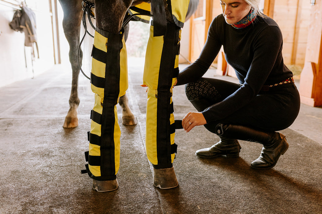 Thermotex Equine Far Infrared Heating Leggings - High Performance