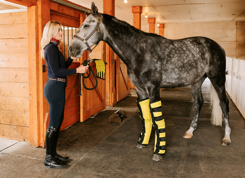 Thermotex Equine Far Infrared Heating Leggings - High Performance