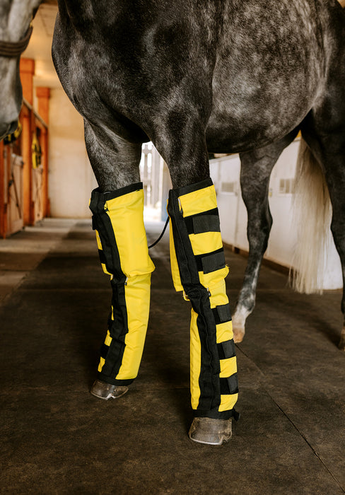 Thermotex Equine Far Infrared Heating Leggings - High Performance