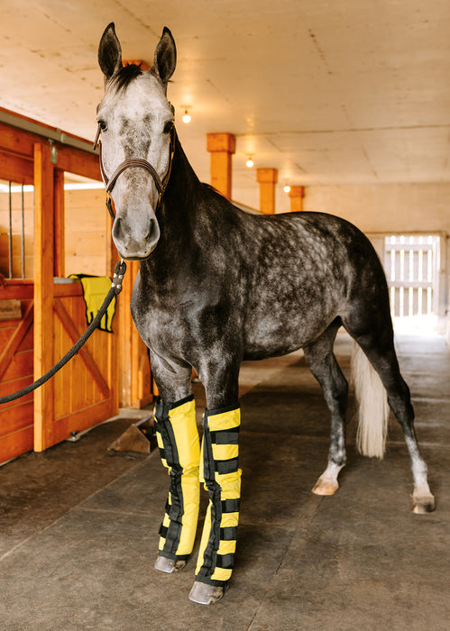 Thermotex Equine Far Infrared Heating Leggings - High Performance