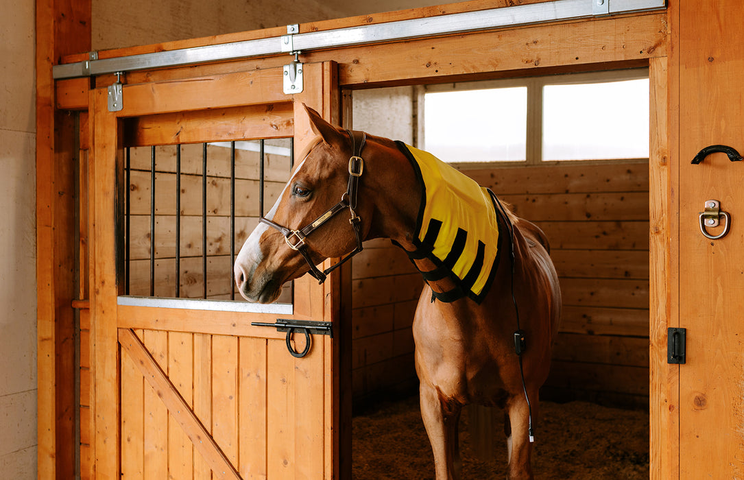 Thermotex Equine Far Infrared Heating Neck Wrap