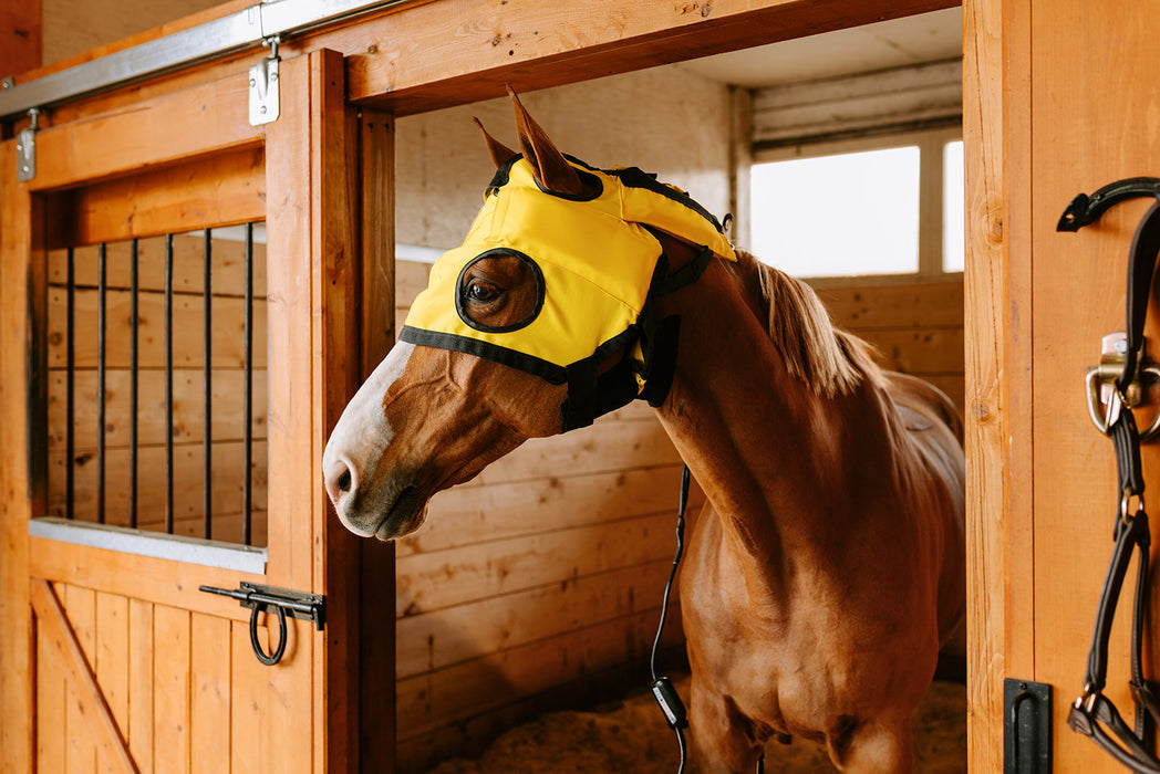 Thermotex Equine Far Infrared Heating TMJ Hood