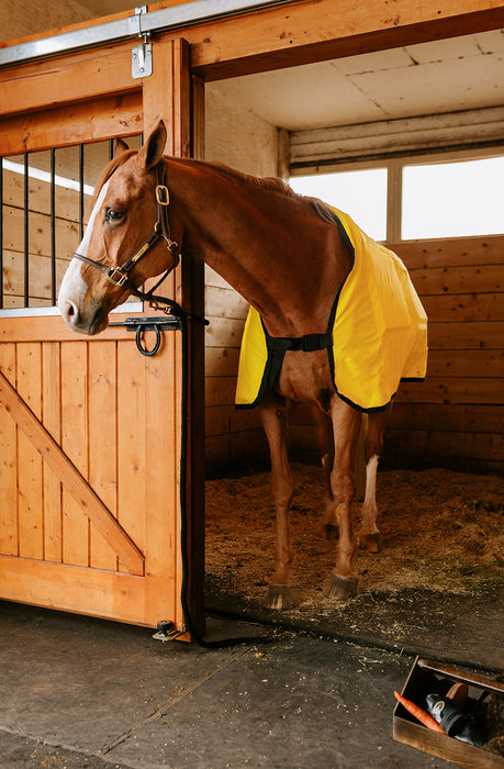 Thermotex Equine Far Infrared Heating 12 Pad Blanket