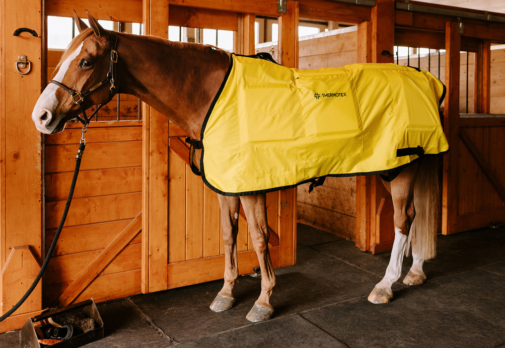 Thermotex Equine Far Infrared Heating 12 Pad Blanket